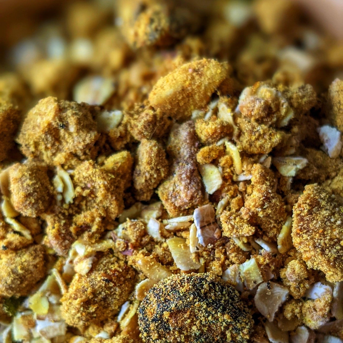 Chester's lions mane dog food topper for brain and age support | NATURAL DOG TREATS