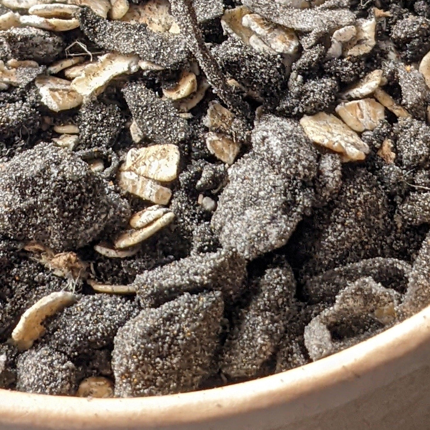 chester's cookies & cream dog food topper for reducing bloating & respiratory support | NATURAL DOG TREATS