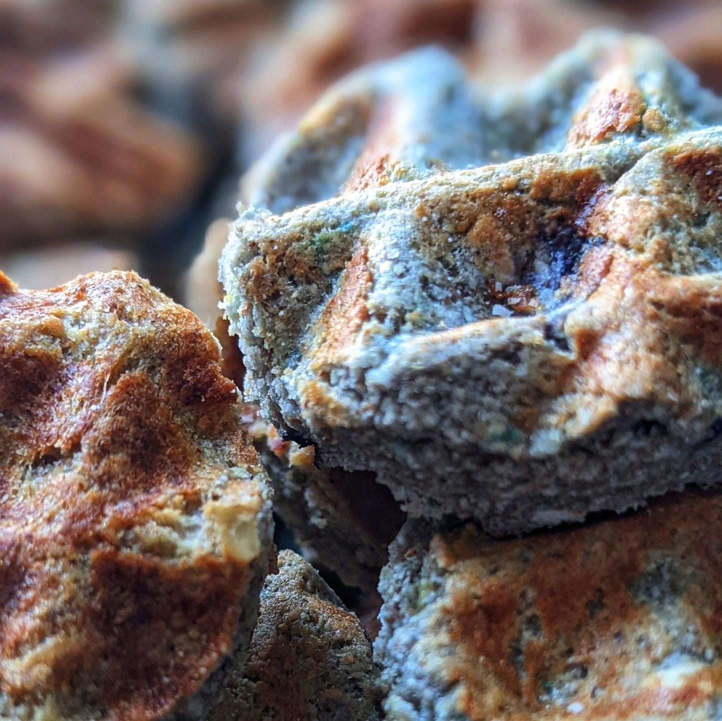 Chester’s blueberry and oat waffles with glucosamine for advanced mobility support | NATURAL DOG TREATS