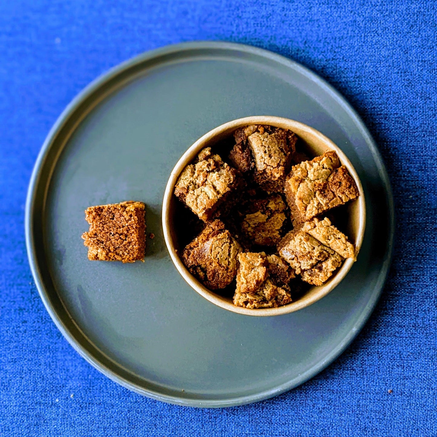 Chester's brownie bites dog treats for cortisol support | NATURAL DOG TREATS