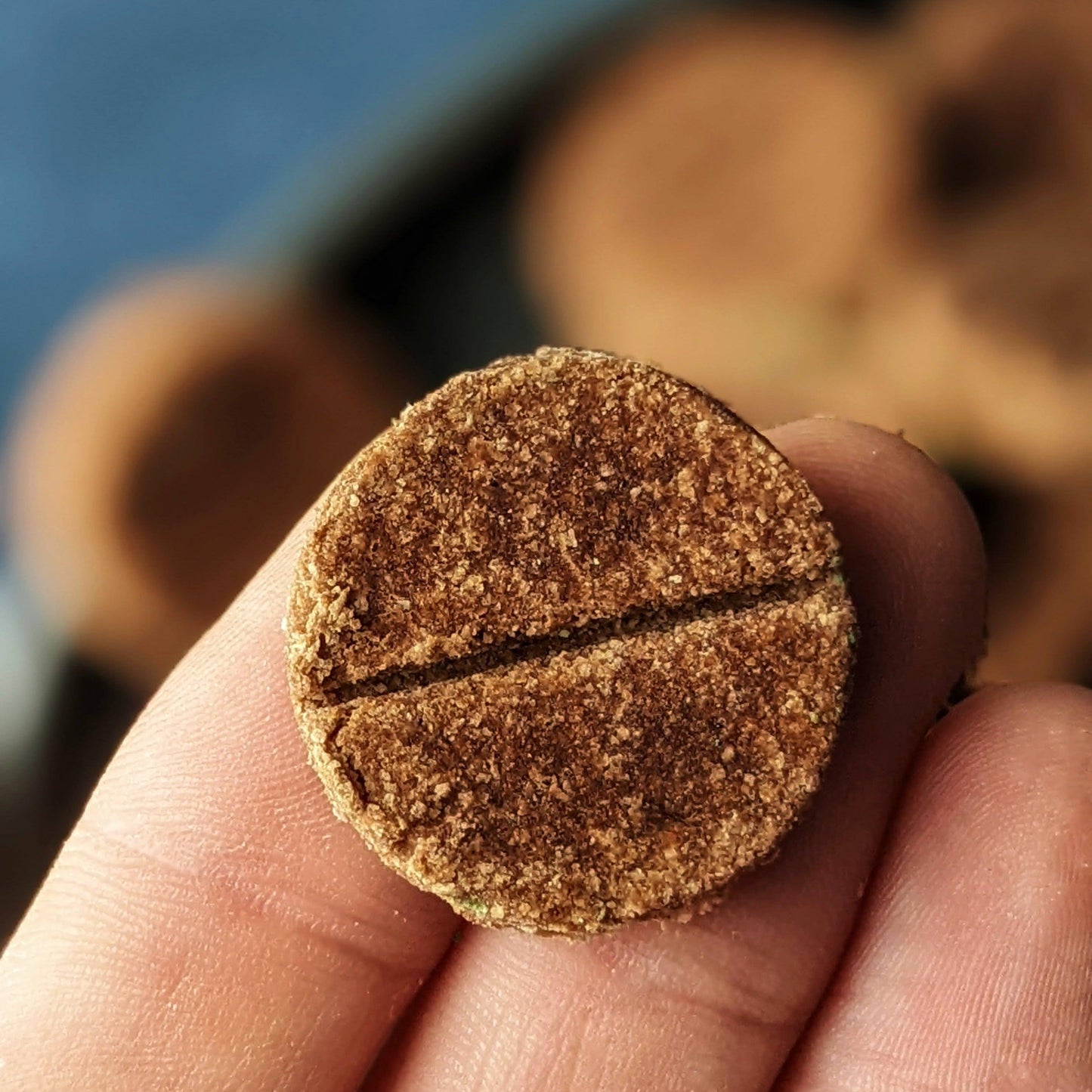 Chester's lions mane dog treats with 7 mushroom blend good for brain, immune, cardiovascular support | NATURAL DOG TREATS