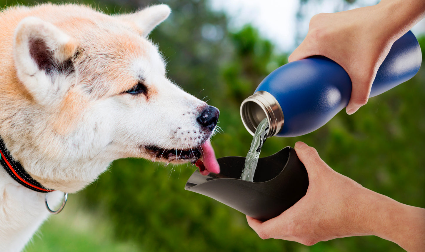 25 Oz Water Bottle