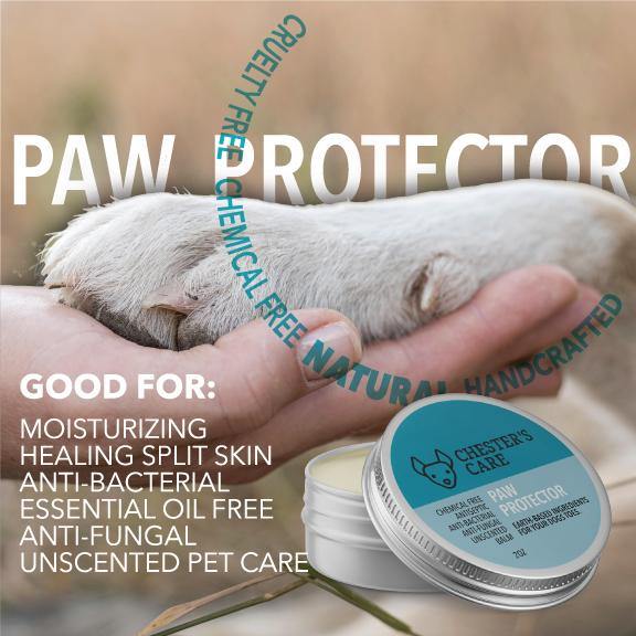 Chester's care paw protector for dogs - protect, soothe, and restore paws - holistic grooming  | NATURAL DOG TREATS