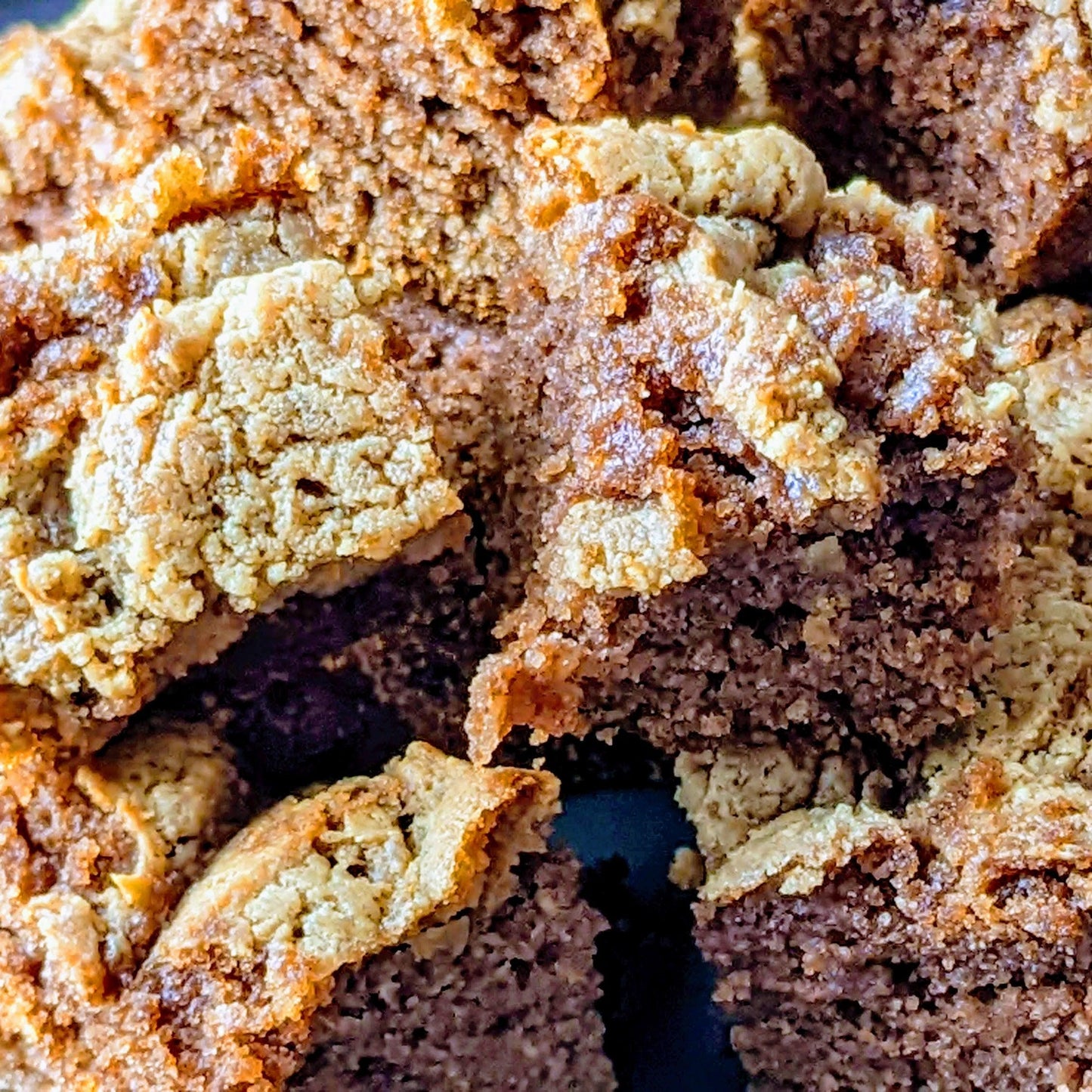 Chester's brownie bites dog treats for cortisol support  | NATURAL DOG TREATS