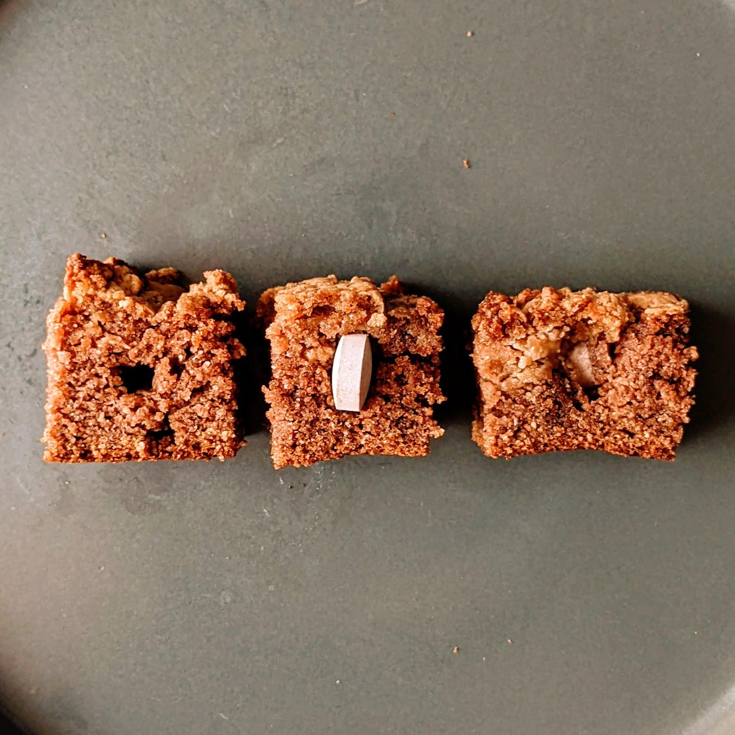 Chester's brownie bites dog treats for cortisol support  | NATURAL DOG TREATS